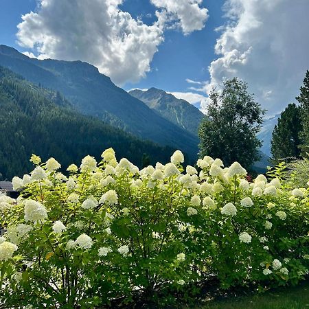 Ferienwohnung Wald Wald im Pinzgau Eksteriør bilde