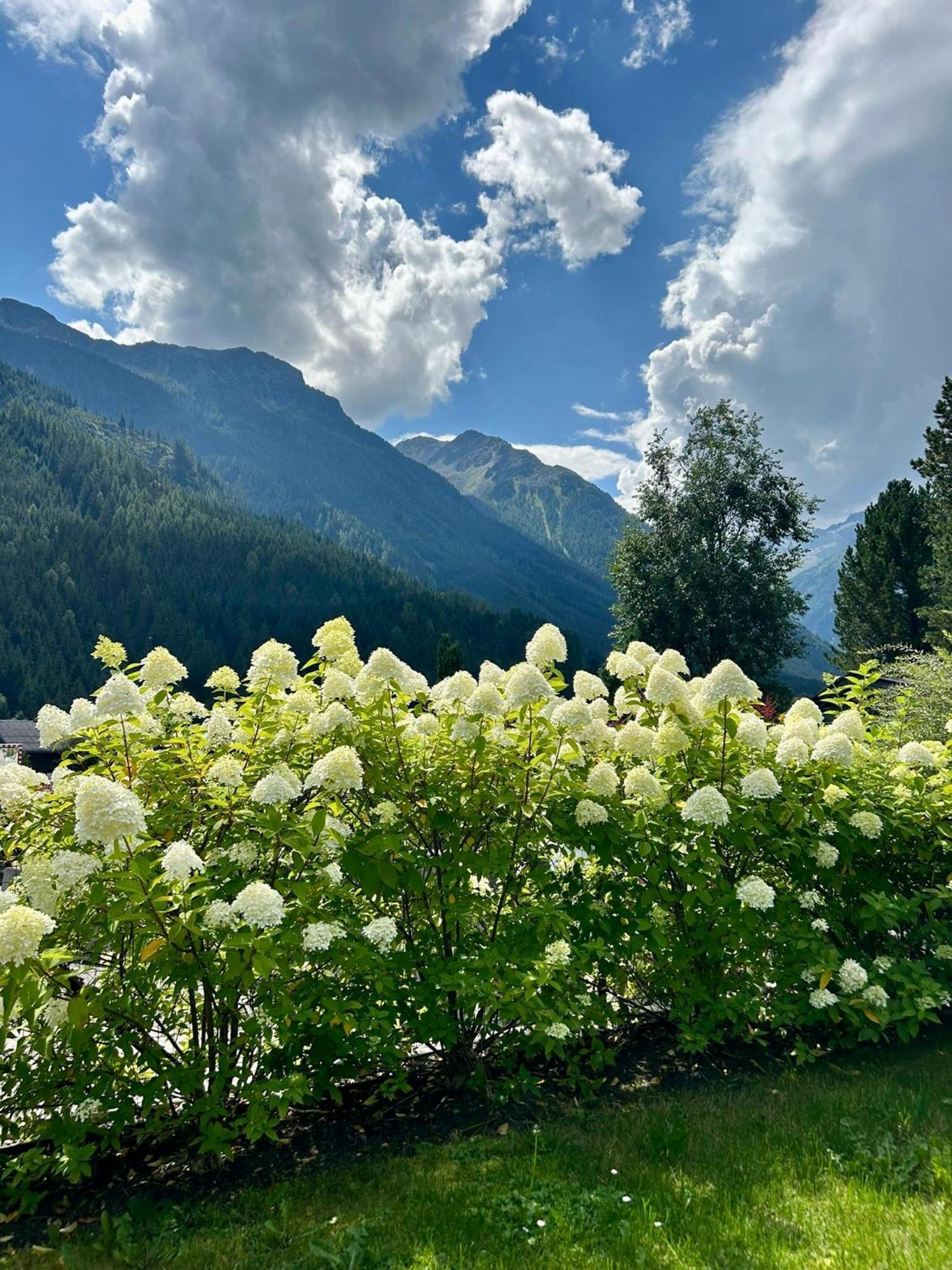 Ferienwohnung Wald Wald im Pinzgau Eksteriør bilde